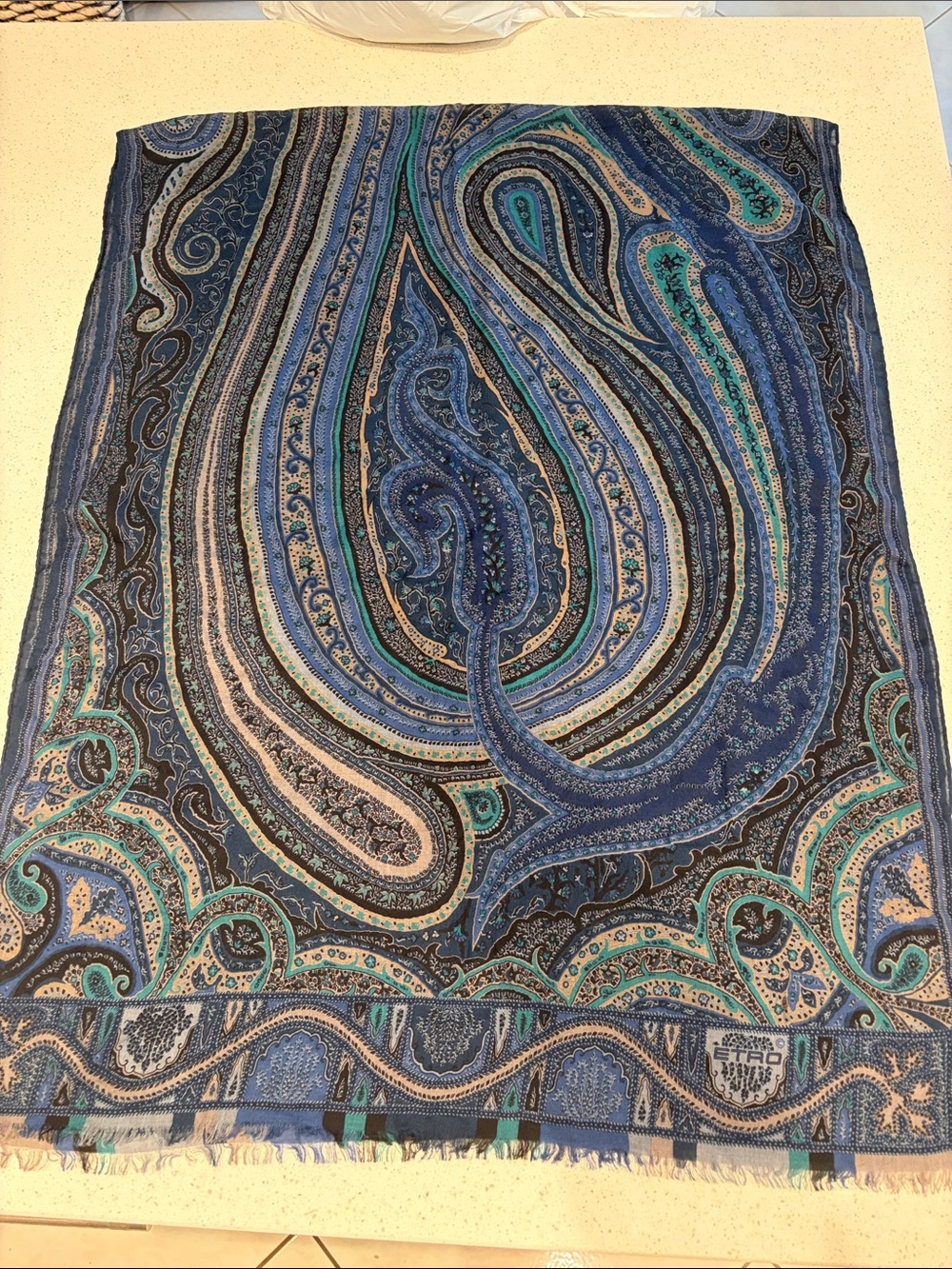 Etro Navy and Teal Paisley Unisex - Cashmere Scarf